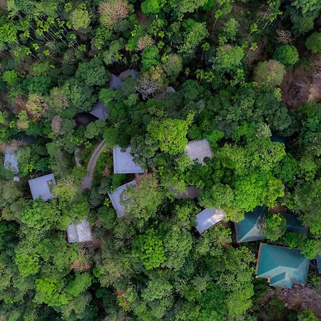 The Hive, Wayanad Hotel Exterior photo