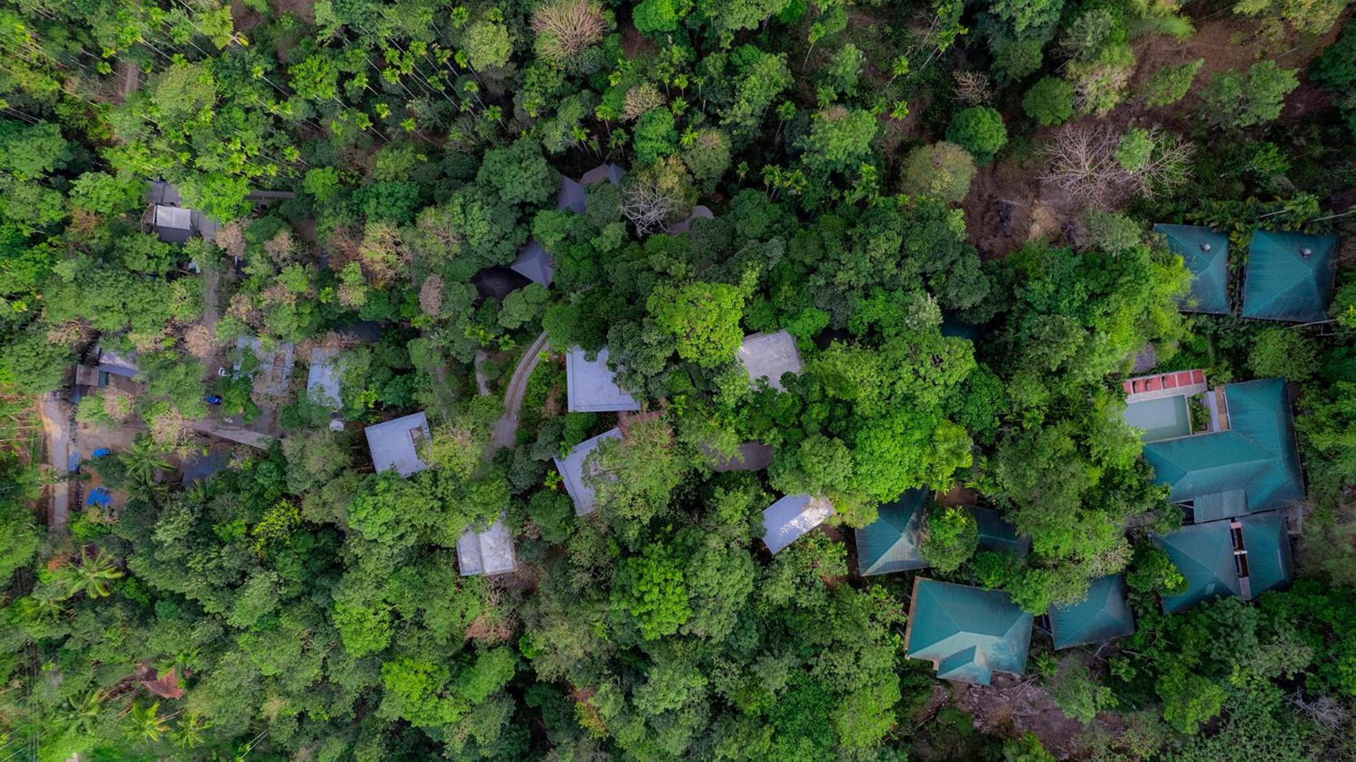 The Hive, Wayanad Hotel Exterior photo