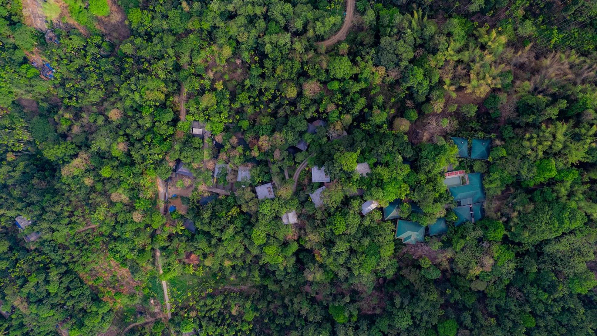 The Hive, Wayanad Hotel Exterior photo