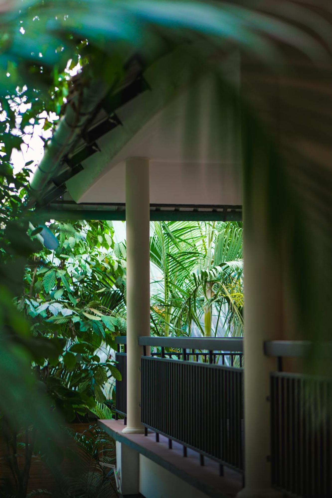 The Hive, Wayanad Hotel Exterior photo