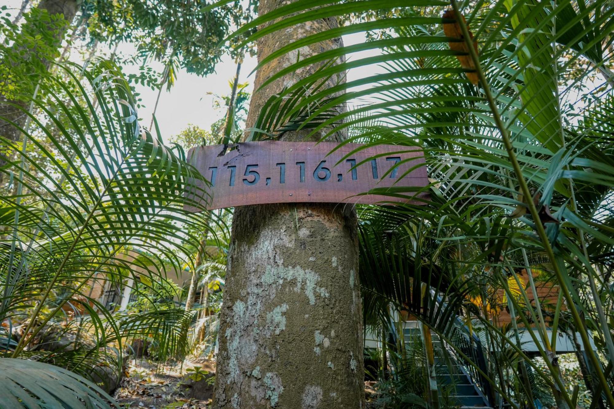 The Hive, Wayanad Hotel Exterior photo
