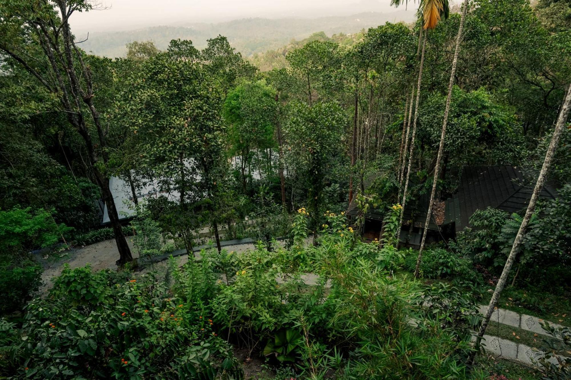 The Hive, Wayanad Hotel Exterior photo