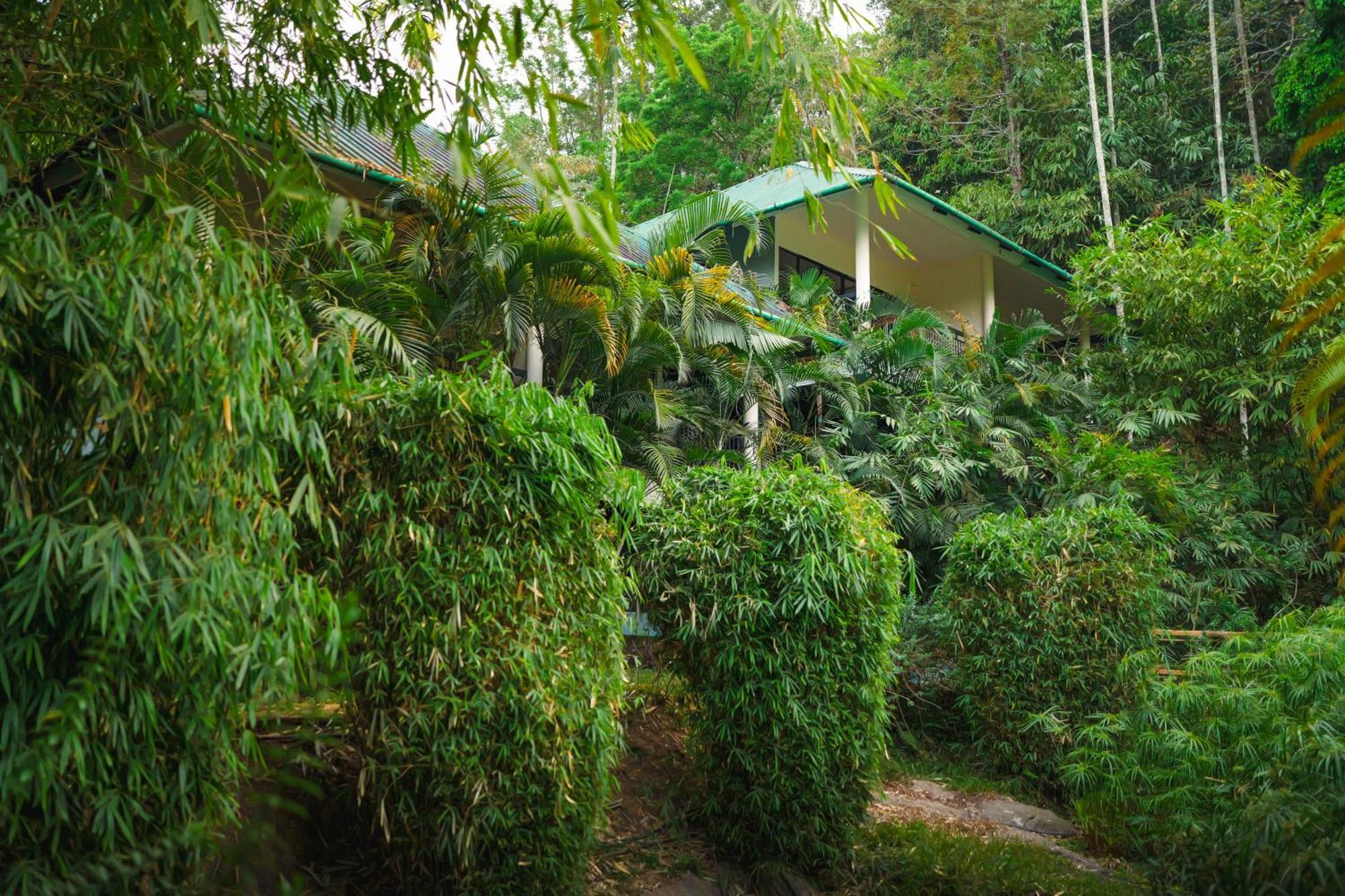 The Hive, Wayanad Hotel Exterior photo